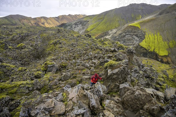 Path winds through the Laugahraun lava field at the foot of Brennisteinsalda