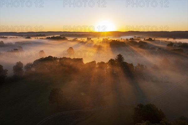 Sunrise with fog over cultivated landscape