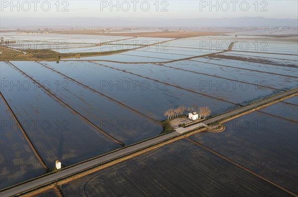 Small farm cottage amidst flooded rice fields in May