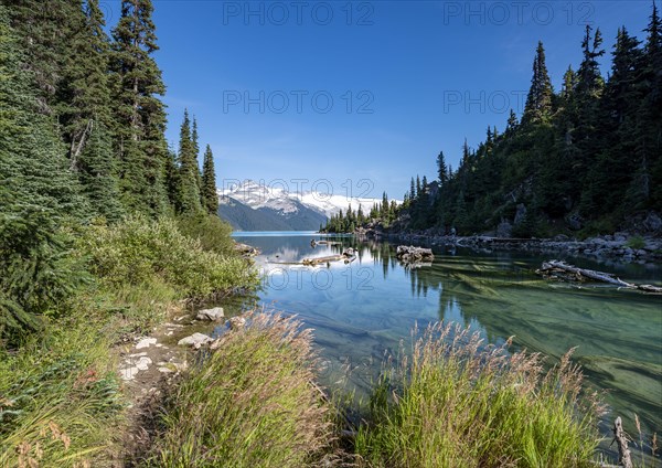 Garibaldi Lake