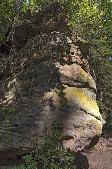 Rocks in the Schwarzachklamm