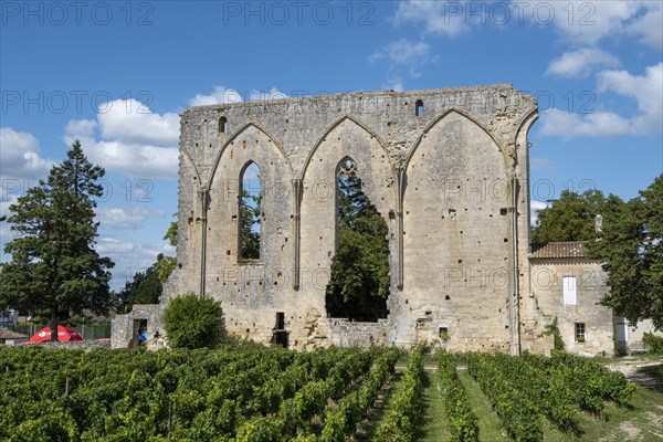 Chateau Les Grandes Murailles