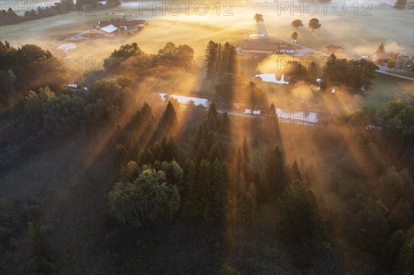 Sunrise with fog over cultivated landscape