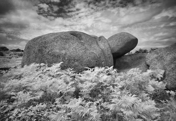 La tortue rock formation