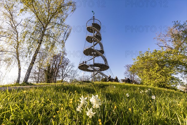 Killesberg Tower in Killesberg Heights Park