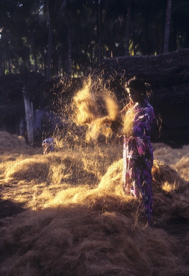 Coconut fibre-Beating & winnowing at Natham