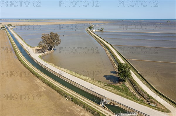 Flooded rice fields in May