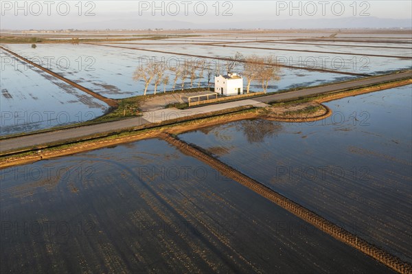 Small farm cottage amidst flooded rice fields in May