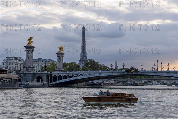 Pont Alexandre III Bridge over the Seine