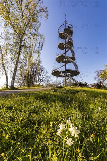 Killesberg Tower in Killesberg Heights Park