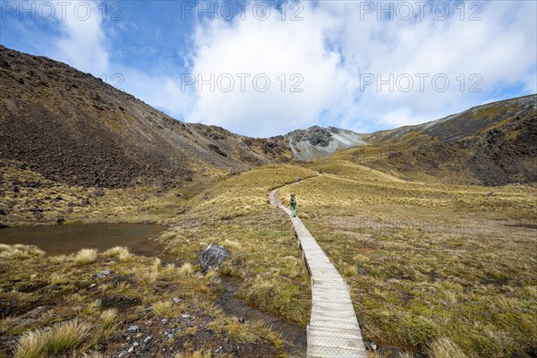 Hikers on trail