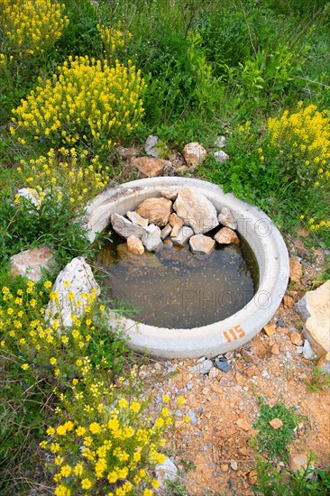 Amphibian spawning waters created in the protected area