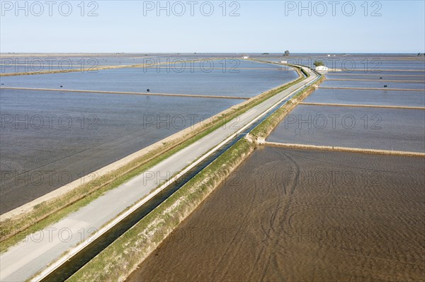 Flooded rice fields in May