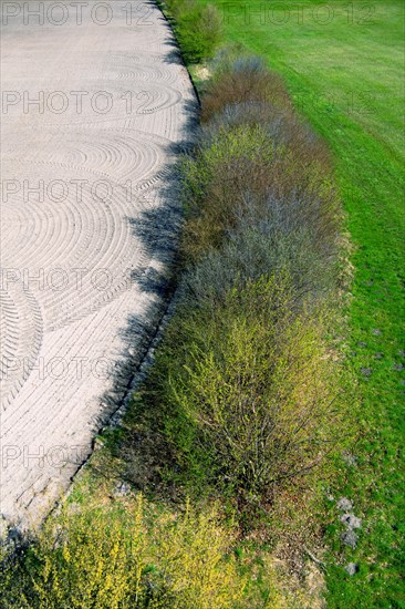 Sielmanns Naturlandschaft Gross Schauener Seen