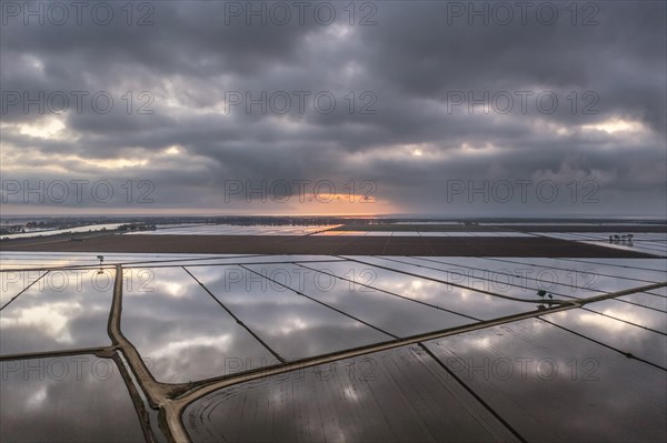 Flooded rice fields in May at daybreak