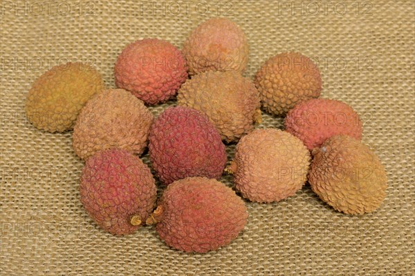 Lychee (Litchi chinensis)