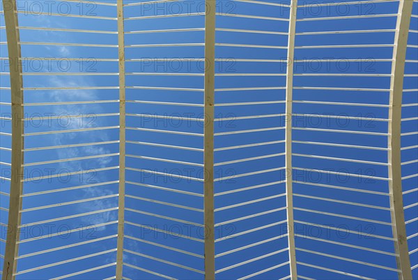 Close-up of canopy of the Umbracle