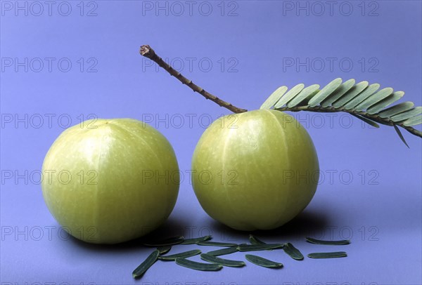 Gooseberry