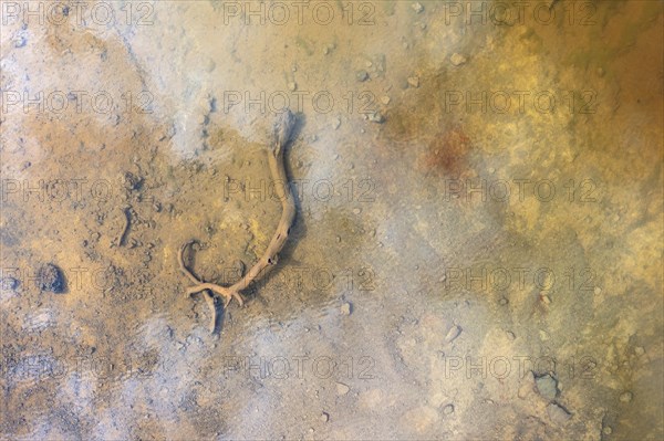 Pool in the extremely mineral-rich area of the Rio Tinto mines