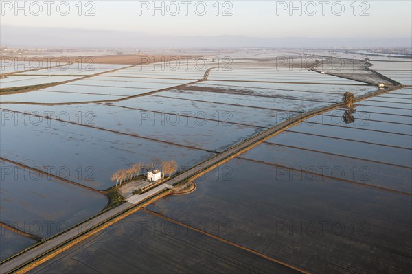 Small farm cottage amidst flooded rice fields in May