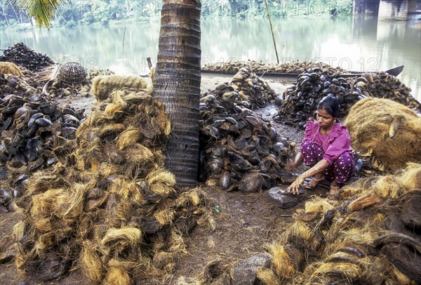 Beating the coconut husk