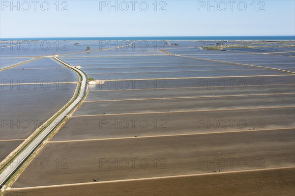 Flooded rice fields in May