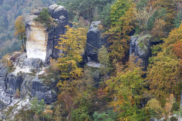 Sandstone rocks in the Bastei area