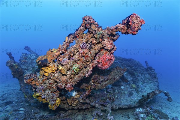 Wreckage and dinghy thickly encrusted with various sponges