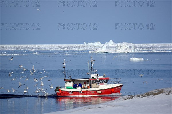 Fishing boat between icebergs and ice floes