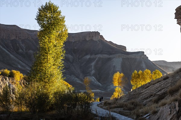 Fall leaves in the Unesco National Park