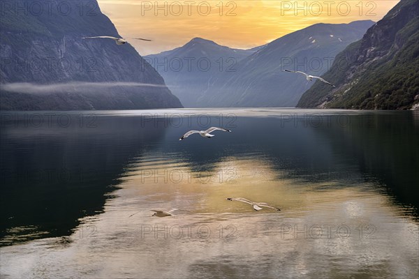 Evening atmosphere at Geirangerfjord