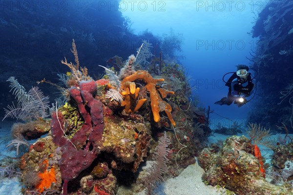 Diver swimming through reef cut and looking at patch reef with various sponges and corals