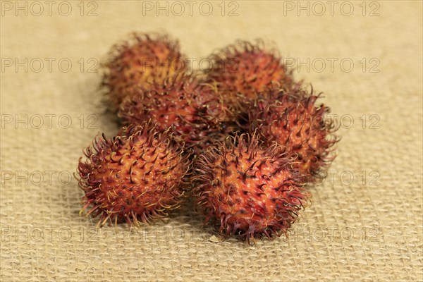 Rambutan (Nephelium lappaceum)