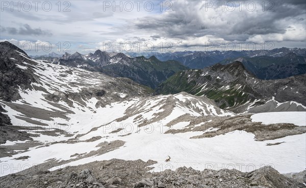 Mountain panorama with old snow fields