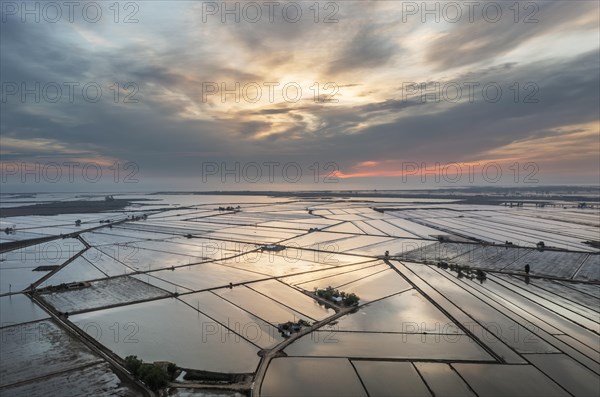 Flooded rice fields in May at daybreak