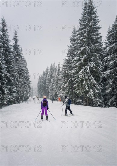 People skiing on the snowy slope of Bukovel ski resort in the Ukrainian Carpathian mountains. Snow falling scene