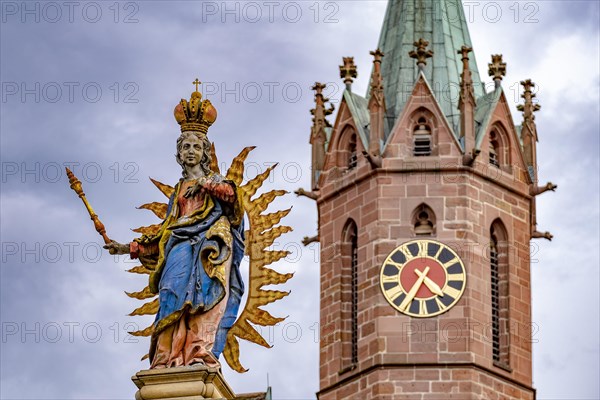 St. Mary's Column on the Market Square and Tower of the Catholic Church of junglefowl (Gallus)