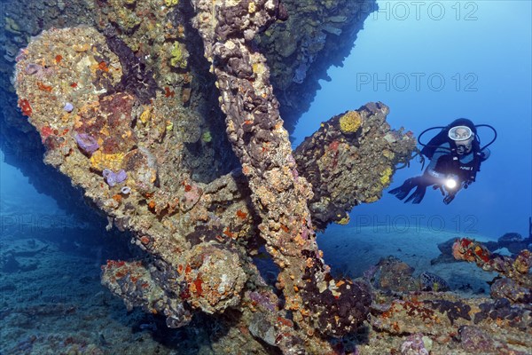Diver looking at propeller and rudder from the wreck of the Virgen de Altagracia