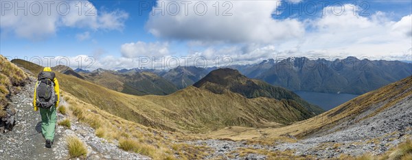 Hikers on trail