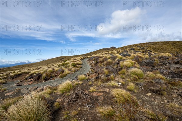 Hiking trail