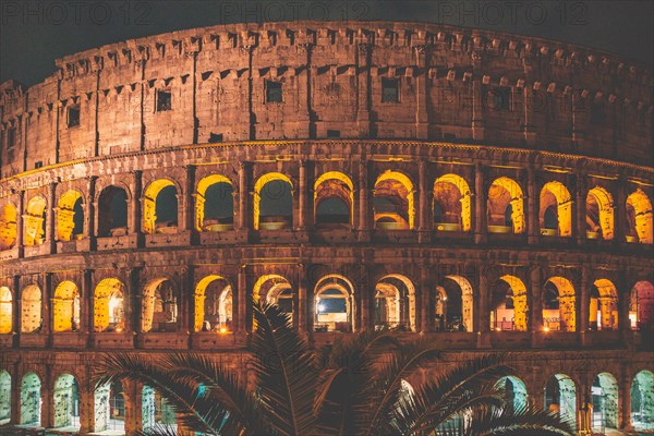 The Colosseum with palm tree