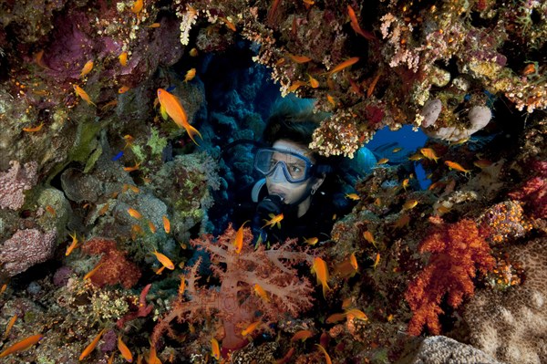 Female diver looking through natural breach into colourful coral reef Sea goldie (Pseudanthias squamipinnis)