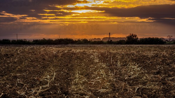 Plowed stubble