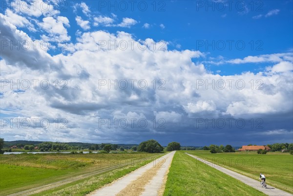 Elbe dyke near Darchau