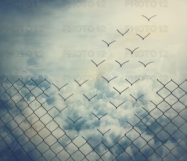 Surreal and magical escape as metallic wire mesh transforming into flying birds above the clouds. Overcoming obstacles together