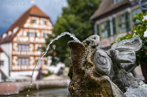 Gargoyle on the fountain in the market square of Ladenburg