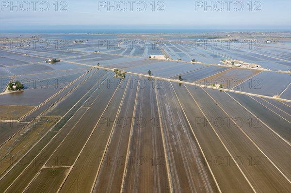 Flooded rice fields in May