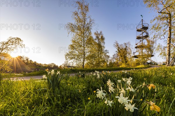 Killesberg Tower in Killesberg Heights Park