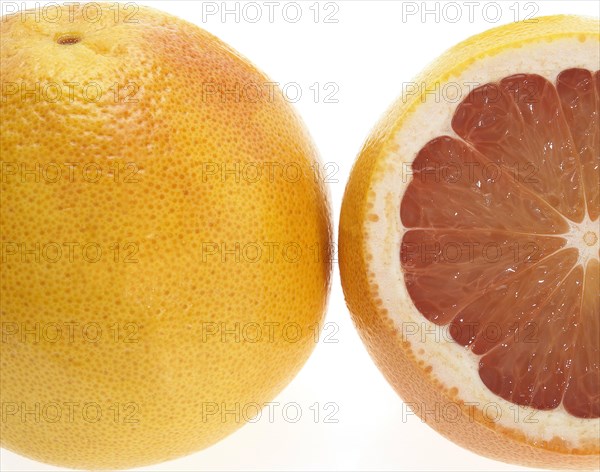 Grapefruit