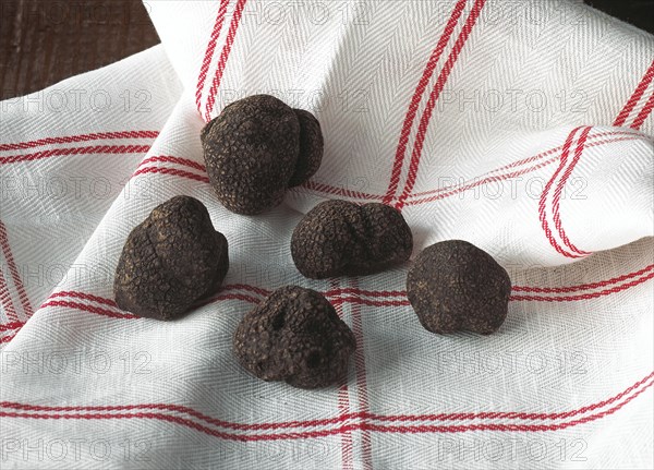 Perigord Truffle